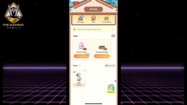 How To Delete An Egg in Widgetable?