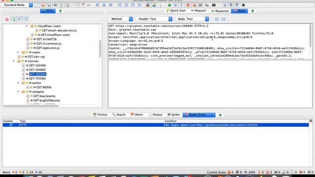 Setting breakpoints on GET request OWASP ZAP | Mastery course смотреть онлайн