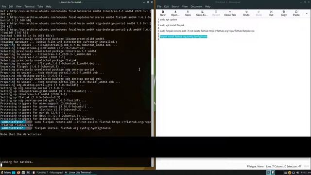 How to install Synfig Studio on Linux Lite 5.4 смотреть онлайн