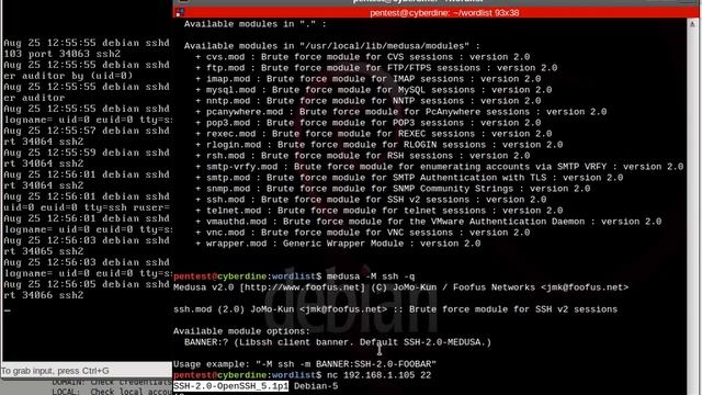 Brute Force com Medusa no serviço SSH. смотреть онлайн