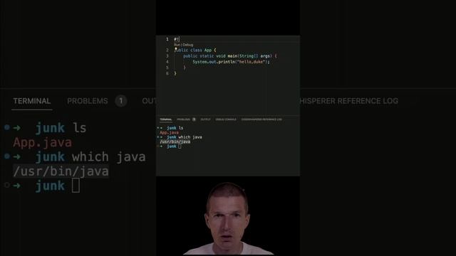 Run Java Source as Shell Script #airhacks #java #short смотреть онлайн