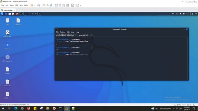 how to use the tail command in kali linux смотреть онлайн