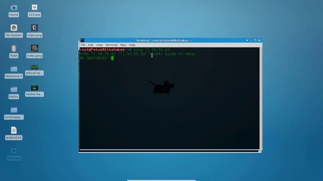 How do distribute Denial-Of-Service (DoS) attacks on Kali Linux смотреть онлайн