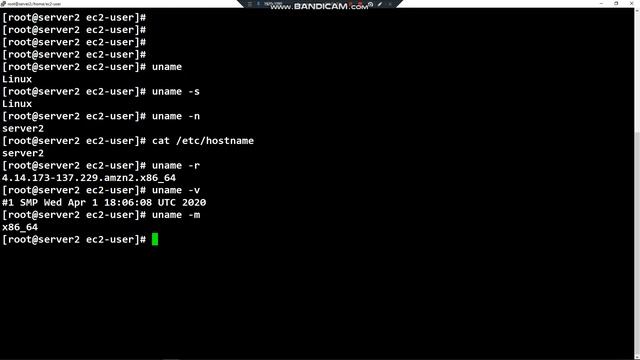 Linux Tutorial - 5. Using the uname command смотреть онлайн
