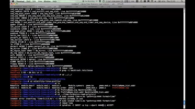 Using LiME & Volatility to analyze Linux memory смотреть онлайн