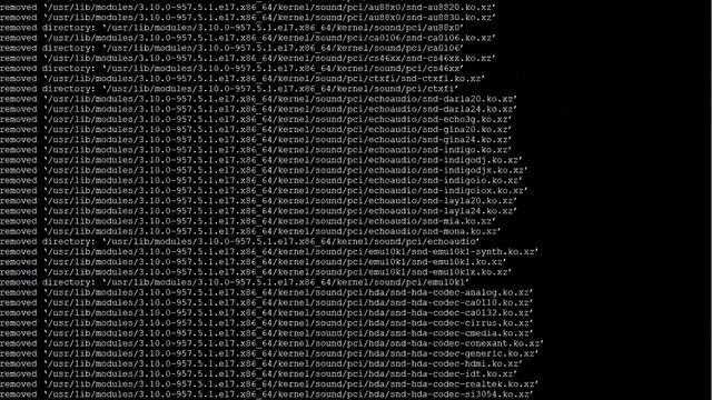 Destroying Linux OS by executing command rm -rfv --no-preserve-root /* смотреть онлайн