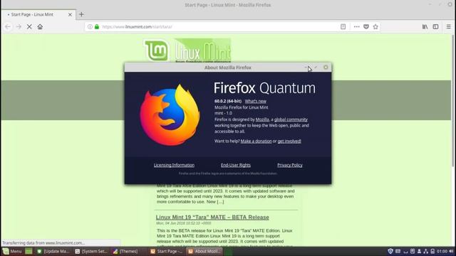 Linux Mint 19 Cinnamon Edition Run Through смотреть онлайн