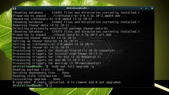 Linux LEGGERO! — Bodhi 7.0, Lite 6.6 смотреть онлайн