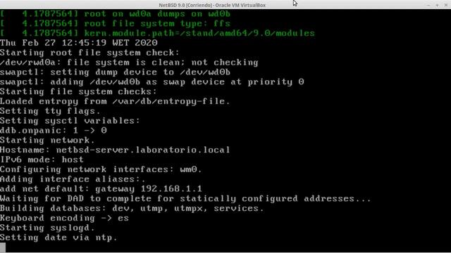 NetBSD 9.0 Install and pkgin enabled смотреть онлайн