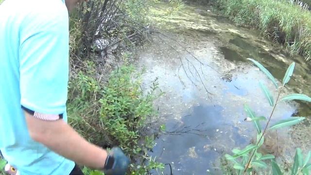 ЧАСТЬ1. ЖУТКОЕ БОЛОТО НА ВОЕННОЙ БАЗЕ!!! РЫБАЛКА НА МАГНИТ смотреть онлайн