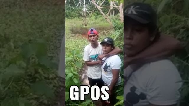 cenas fortes смотреть онлайн