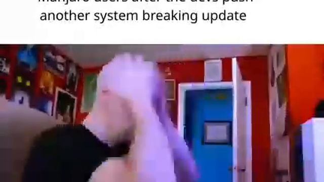 Linux Users Explaining смотреть онлайн