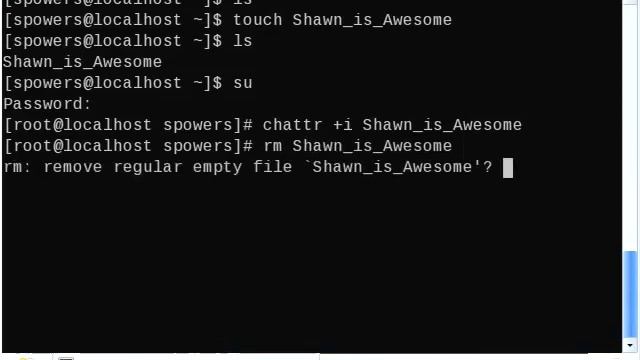 Protect Files With Chattr - even from root | Linux Tutorials смотреть онлайн