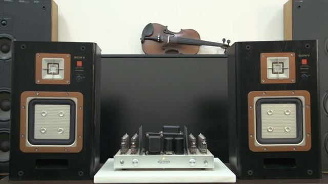 SONY APM-22ES & MACTONE 63M-markII