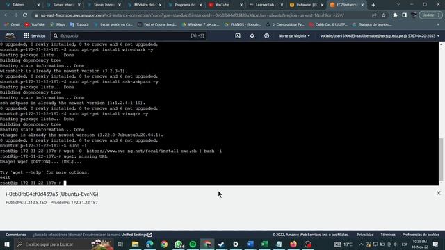 Instalando Eve-ng en Ubuntu Server 20.04 de AWS смотреть онлайн