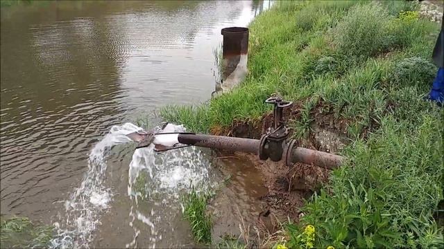 Как победить щитня в прудах? Щитни - вредители в прудах смотреть онлайн