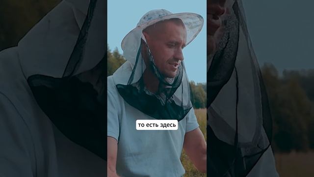 Пчелы-лучший GPS! Подробнее рассказали в нашем новом видео из глэмпинга Honey Day #glamping смотреть онлайн