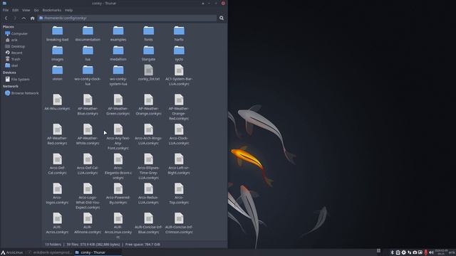 ArcoLinux : 3851 Conky - update of conky-lua-archers and arcolinux-conky-collection-git смотреть онлайн