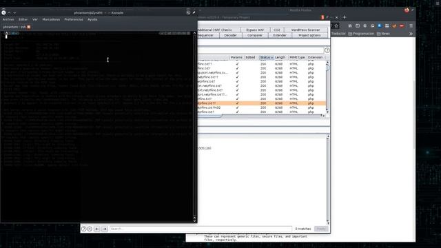 Nikto + proxy Burp , Skipfish & OS Command Inyection смотреть онлайн