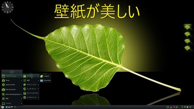 Bodhi Linux 7.0.0 alpha4 試してみた смотреть онлайн
