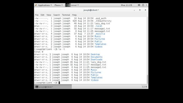 Linux File Management смотреть онлайн