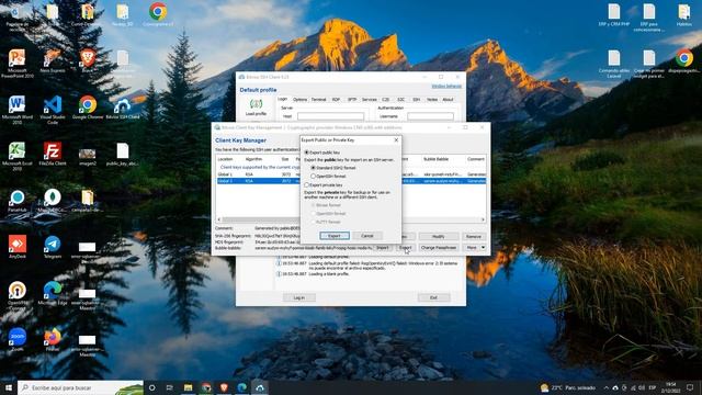 Tutos Pablo - Como generar clave publica con Bitvise SSH Client смотреть онлайн