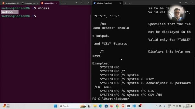 How to display System Info in Windows and Linux using the terminal | System Info смотреть онлайн