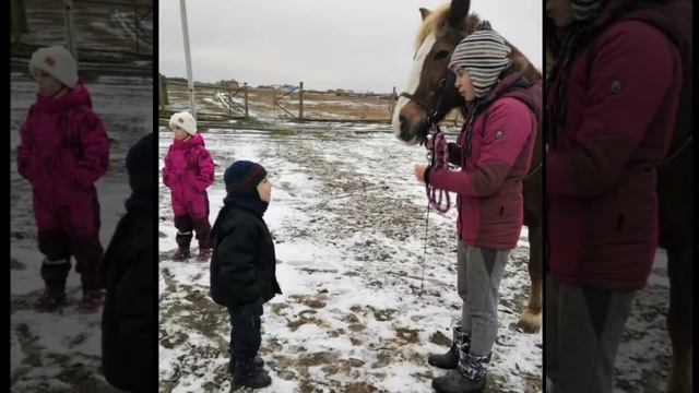 Программа «Благотворительные четверги» смотреть онлайн