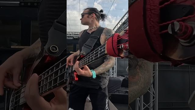 Дарю риф для вашей песни! Забирайте #darkglass #warwick #rotosound #bass смотреть онлайн