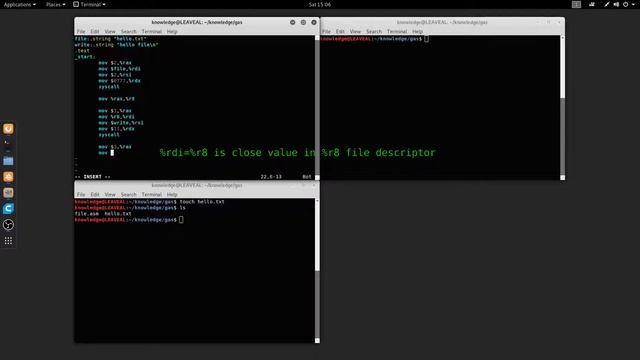 GAS x64 GNU Assembler file read write tutorial in Linux смотреть онлайн
