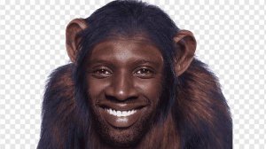 Стрим С вебкой