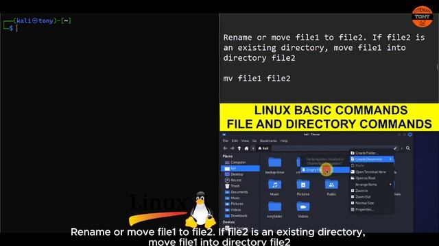 Linux Basic Commands - File and Directory Commands смотреть онлайн