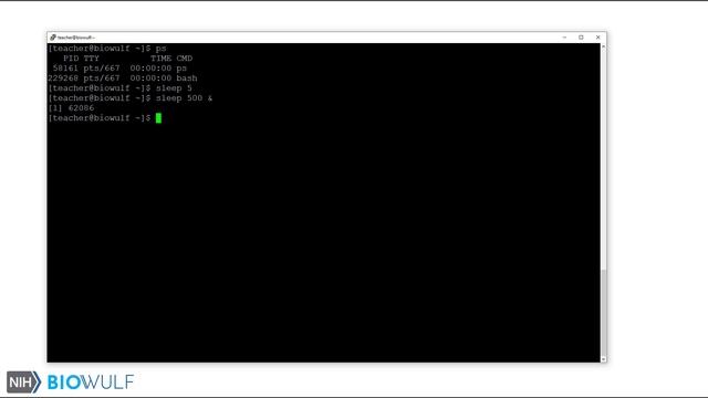 Bash Scripting Class: Processes смотреть онлайн