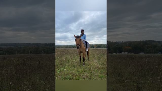 Благотворительный четверг смотреть онлайн