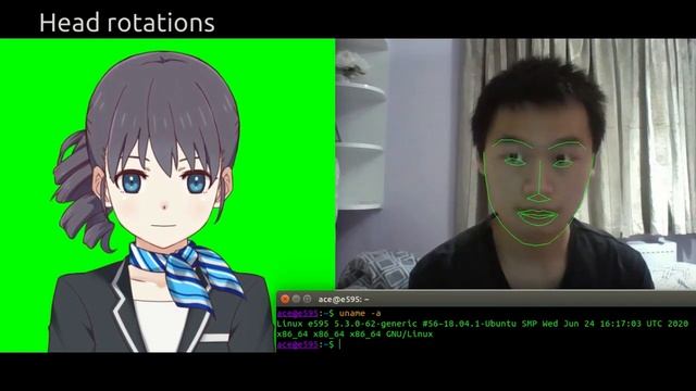 Using webcam to control Live2D Cubism model in Linux смотреть онлайн