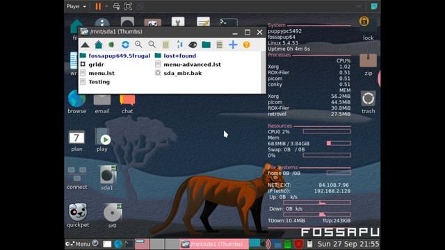 How To Install Puppy Linux 9.5 As The Main OS - Very Quick Walkthrough (FossaPup) смотреть онлайн