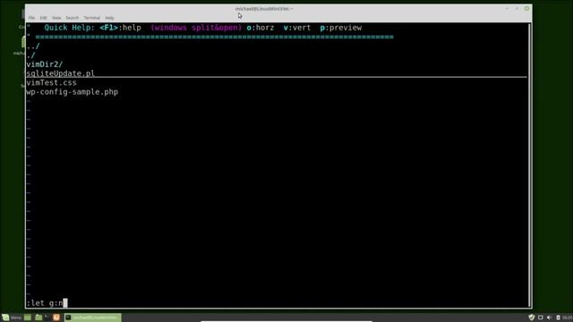 Vim (33) NetRW copyVimrc смотреть онлайн