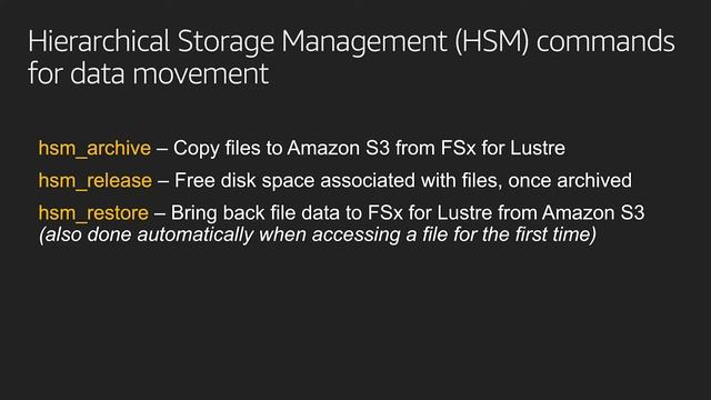 SDC2020: Amazon FSx For Lustre Deep Dive and its importance in Machine Learning смотреть онлайн