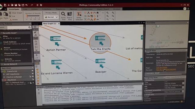 Aplicaciones y comandos de kali linux (Maltego) смотреть онлайн