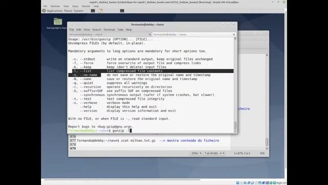 #7 Tutorial comandos iniciais Debian 10 Buster em VirtualBox смотреть онлайн
