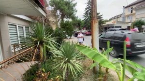 Дивноморское, Тонкий Мыс, Геленджик. Сентябрь 2024г.