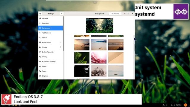 Endless OS 3.8.7 overview | The operating system that comes with everything your family needs. смотреть онлайн