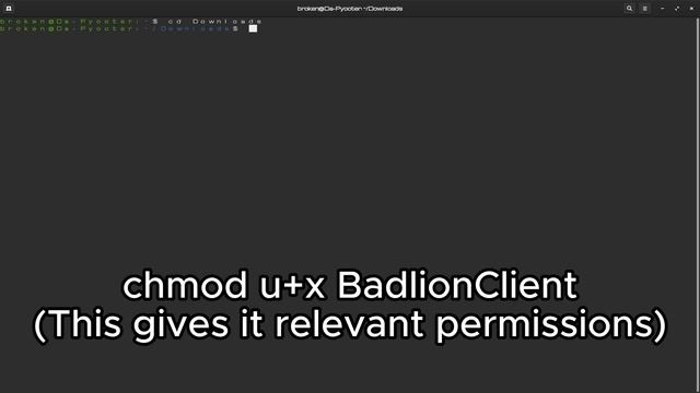 How to get Badlion Client on Linux (Compatible with most distros) смотреть онлайн