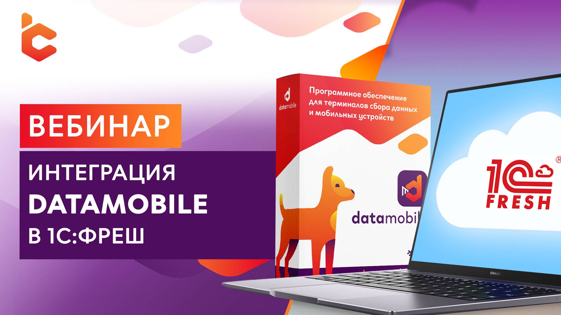 Вебинар «Интеграция DataMobile в 1С:Фреш» смотреть онлайн