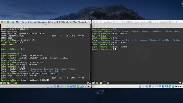07 Linux Comandos Parte 06 смотреть онлайн