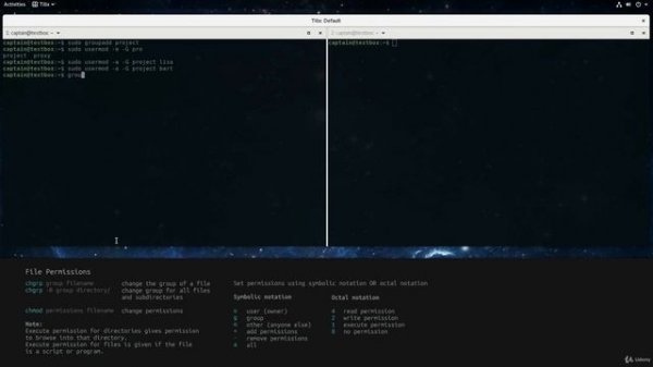 Bash Scripting Tutorial for Beginners | Linux Command Line Tutorial