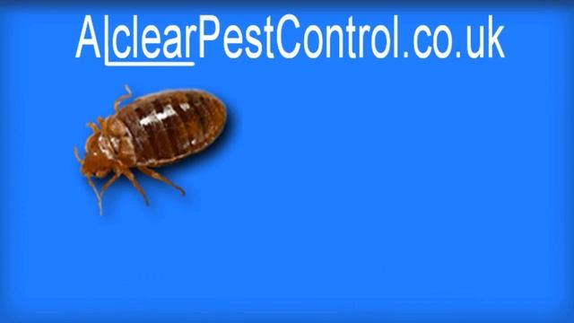 Pest Control Video