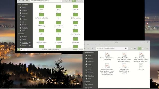 Linux Mint 19 Black Bar Visual Glitch смотреть онлайн