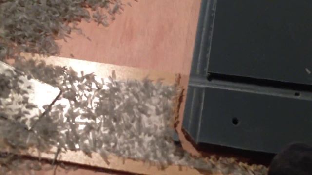 Homemade DIY CNC router with linux cnc, first customer job a mountain of chips смотреть онлайн
